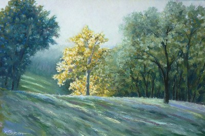 Morning Light